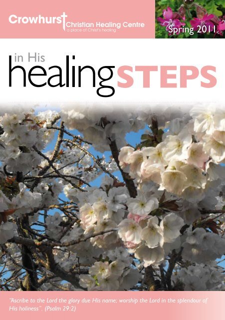 Healing Steps - Spring 2011