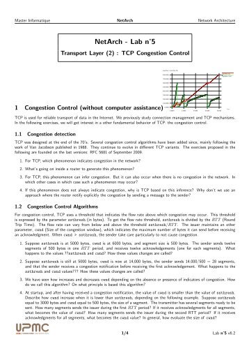 NetArch - Lab nË5 - LIP6