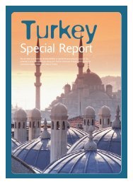 Turkey Speciality Chemicals 2006 - GBR