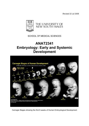 UNSW Course Outline 2009 ANAT2341 Embryology PDF