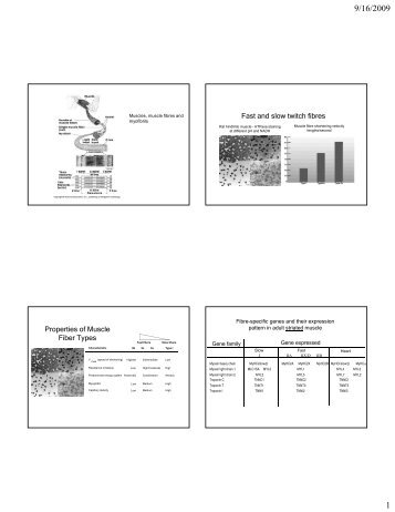 view the online english grammar 2005