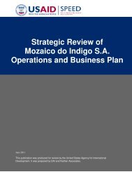 Strategic Review of Mozaico do Indigo S.A. Operations and ... - tipmoz