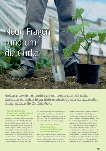 Neun Fragen rund um die Gurke - Sperli