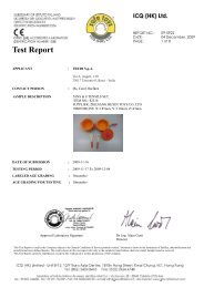 Test Report - SpielzeugOase