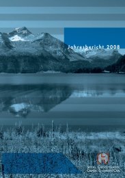 Jahresbericht 2008 - Spital Oberengadin