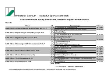 Bachelor: Modulhandbuch mit Studienplan - Institut fÃ¼r ...