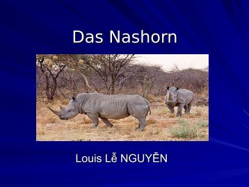 Das Nashorn