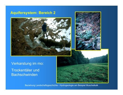 Entwicklung eines Karst-Aquifersystems am Beispiel des ...