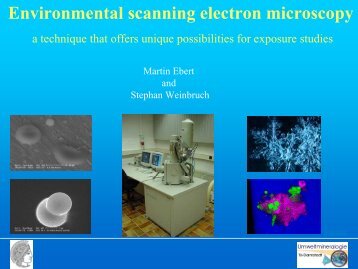 Environmental scanning electron microscopy