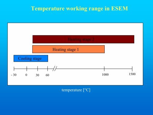 Environmental scanning electron microscopy