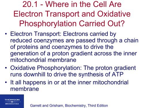 Electron Transport and Oxidative Phosphorylation