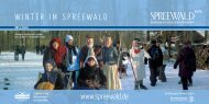 Winter im SpreeWald