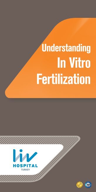 Understanding In Vitro Fertilization