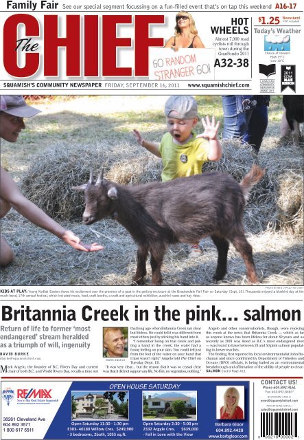 Britannia Creek in the pink salmon - Squamish Chief