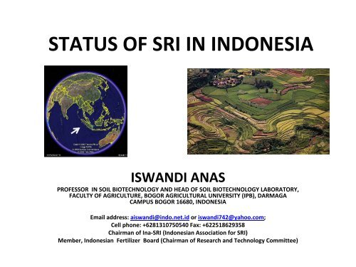 STATUS OF SRI IN INDONESIA - SRI - India