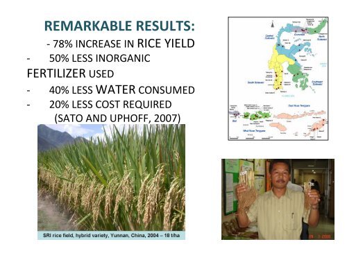 STATUS OF SRI IN INDONESIA - SRI - India