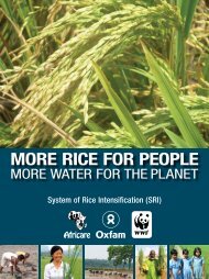 MORE RICE FOR PEOPLE - Africare