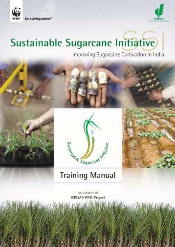 Sustainable Sugarcane Initiative (SSI) manual - SRI - India