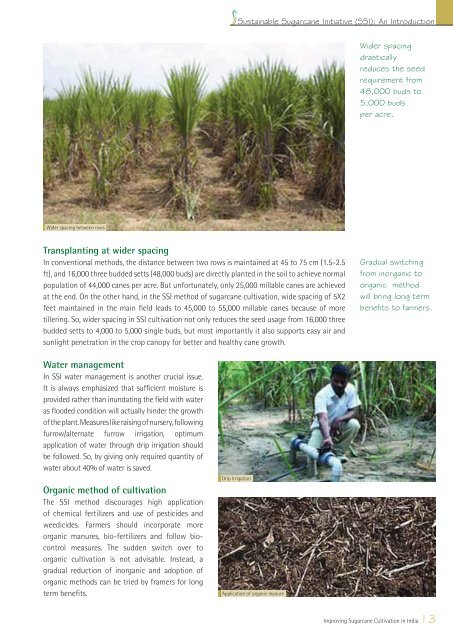 Sustainable Sugarcane Initiative (SSI) manual - SRI - India