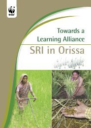 SRI in Orissa - Cornell International Institute for Food, Agriculture ...