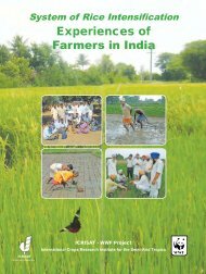 Experiences of Farmers in India Experiences of Farmers in ... - AgSri