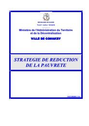 STRATEGIE DE REDUCTION DE LA PAUVRETE - StratÃ©gies de ...