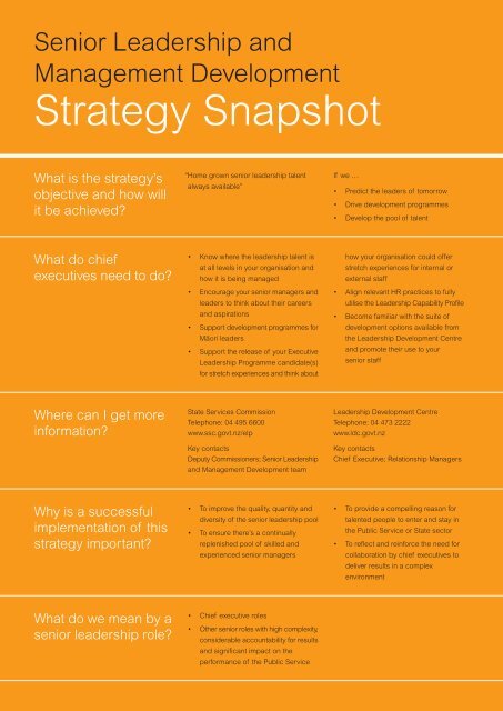 Strategy Snapshot - State Services Commission