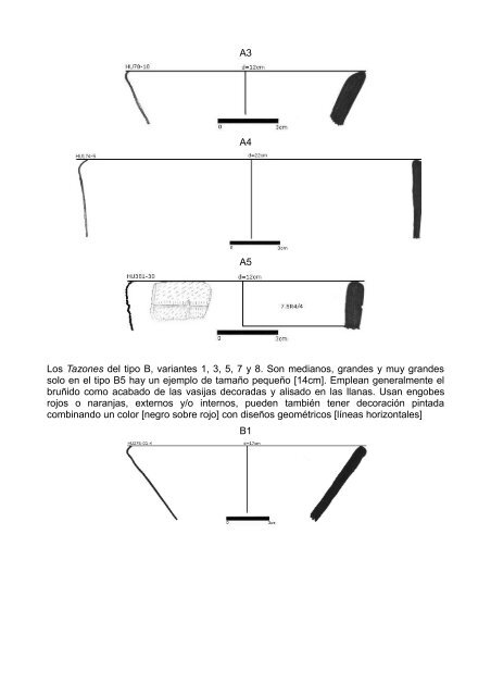 anÃ¡lisis de la ceramica del sector medio y bajo de la sub-cuenca del ...