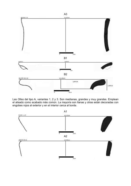 anÃ¡lisis de la ceramica del sector medio y bajo de la sub-cuenca del ...