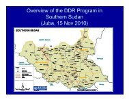 Overview of the DDR Program in Southern Sudan (Juba ... - SSDDRC