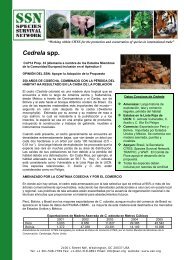 Cedrela spp. - Species Survival Network