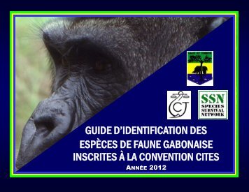 guide d'identification des espÃ¨ces de faune gabonaise inscrites Ã  la ...