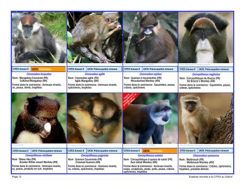 guide d'identification des espÃ¨ces de faune gabonaise inscrites Ã  la ...