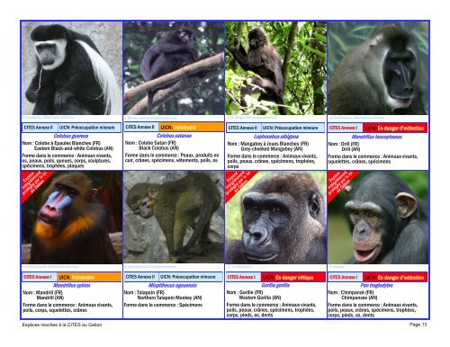 guide d'identification des espÃ¨ces de faune gabonaise inscrites Ã  la ...