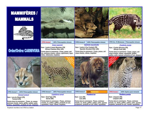 guide d'identification des espÃ¨ces de faune gabonaise inscrites Ã  la ...