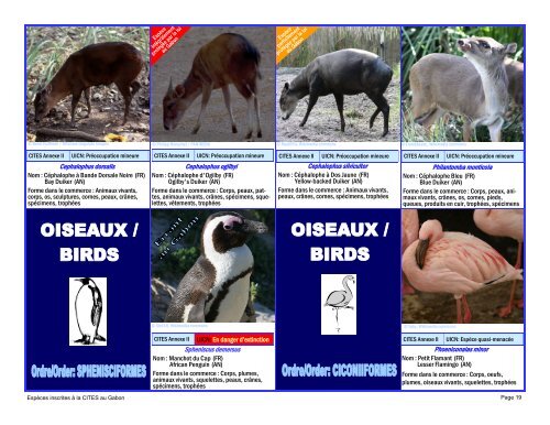 guide d'identification des espÃ¨ces de faune gabonaise inscrites Ã  la ...