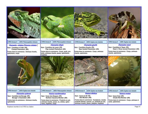 guide d'identification des espÃ¨ces de faune gabonaise inscrites Ã  la ...