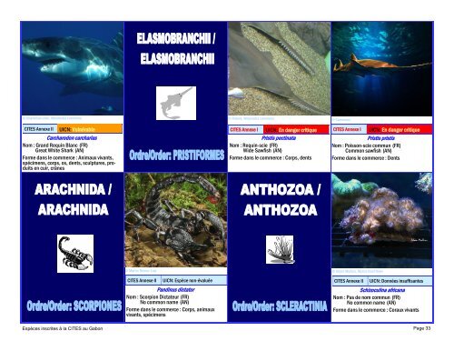 guide d'identification des espÃ¨ces de faune gabonaise inscrites Ã  la ...