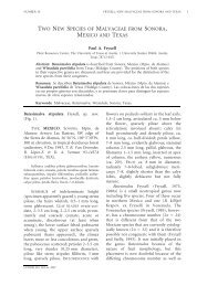 Download article (875 KB) - The University of Texas at Austin