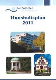 Haushaltsplan 2011 - Bad Salzuflen