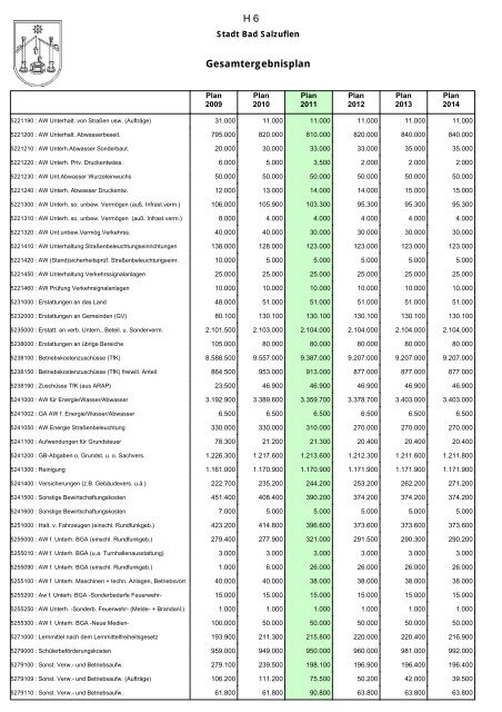 Haushaltsplan 2011 - Bad Salzuflen