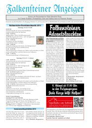 Amtsblatt November 2013 - Stadt Falkenstein