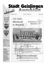Amtsblatt Geislingen KW20 - Stadt Geislingen