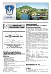 Mitteilungsblatt Nr. 3 vom 18.01.2013.pdf - Stadt GemÃ¼nden am Main
