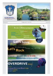 Mitteilungsblatt Nr. 25 vom 21.06.2013.pdf - Stadt GemÃ¼nden am Main