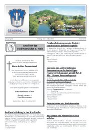 Mitteilungsblatt Nr. 9 vom 01.03.2013.pdf - Stadt GemÃ¼nden am Main