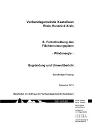 BegrÃ¼ndung und Umweltbericht - Kastellaun