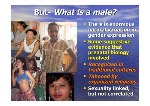 Culture, Biology and Male-to-Male Sex in Asia and the Pacific