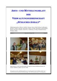 Amtsblatt Nr. 03 - Stadt SÃ¼dliches Anhalt