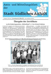 Amtsblatt Nr. 6 - Stadt SÃ¼dliches Anhalt